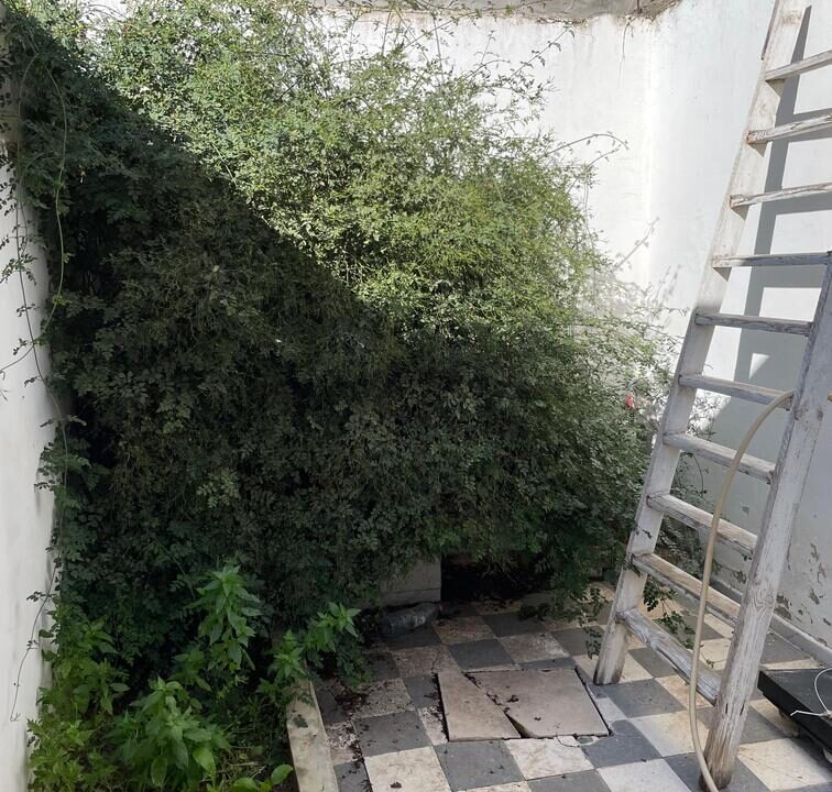 IMG-20250122-WA0047